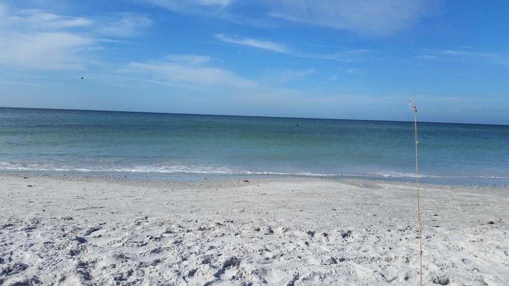 Madeira Bonita Apartment #6 St. Pete Beach Bilik gambar